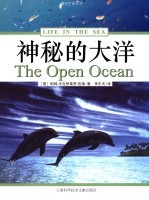 神秘的大洋