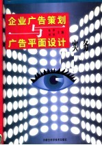 广告实务大全：企业广告策划与广告平面设计实务 3
