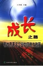 成长之路 看世界著名企业如何做大做强