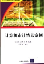 计算机审计情景案例