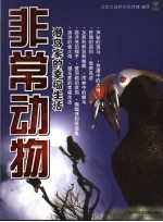 非常动物 潜鸟家的幸福生活
