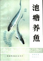 池塘养鱼
