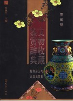 文物收藏鉴赏辞典 陶瓷 玉器 杂项 书法 绘画 彩图版