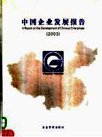 中国企业发展报告 2003