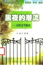 黑夜的潜流 女性文学新论