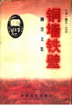 铜墙铁壁 小说·散文·文论