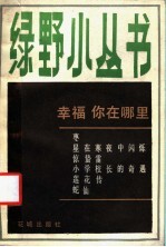 幸福,你在哪里?