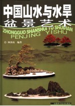 中国山水与水旱盆景艺术