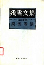 残雪文集 第4卷 突围表演