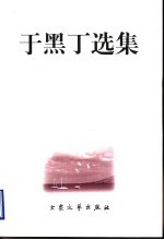 于黑丁选集 3 文艺评论卷