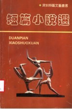 短篇小说选 1980-1990