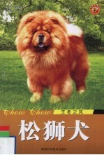 松狮犬 王者之风