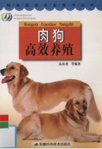 肉狗高效养殖