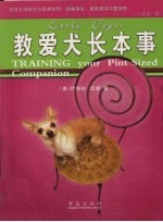 教爱犬长本事