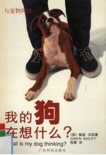 我的狗在想什么?