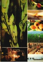 二十年成果选编 1960-1980