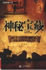 神秘宝藏 长篇悬疑小说