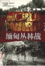 缅甸丛林战