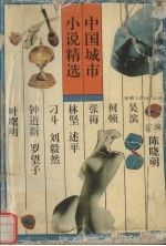 中国城市小说精选