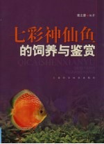 七彩神仙鱼的饲养与鉴赏