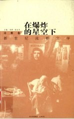 在爆炸的星空下