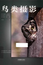 鸟类摄影
