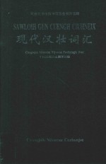 现代汉壮词汇
