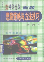 实用中学化学解题思路策略与方法技巧大典  下