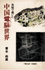 魚眼で覗いた中国電脳世界
