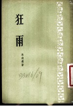 狂雨