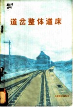 道岔整体道床