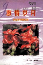 激情岁月 黄业革命回忆录