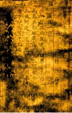 梦溪笔谈校证 上