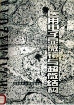 医用电子显微镜与超微结构