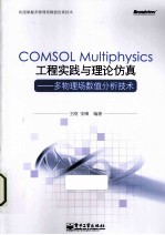 COMSOL Multiphysics工程实践与理论仿真 多物理场数值分析技术