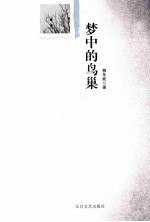梦中的鸟巢
