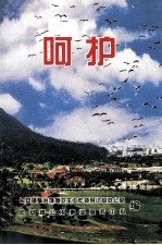 呵护