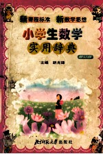 小学生数学实用辞典 修订版