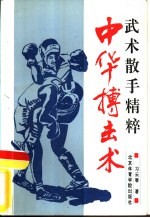 中华搏击术 武术散手精粹