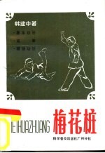 梅花桩 基本功法,成拳,辅助功法