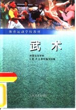 武术