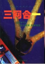 三网合一 中国电讯产业发展战略研究