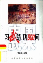 中国武术 习武练功500问
