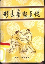 形意拳散手炮