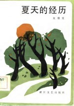 夏天的经历