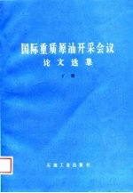国际重质原油开采会议论文选集 下