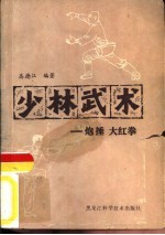 少林武术 炮捶、大红拳
