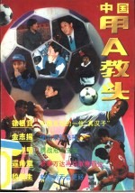 中国甲A教头