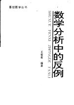 数学分析中的反例
