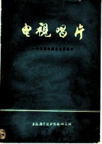 电视唱片:一种新颖的图象记录技术